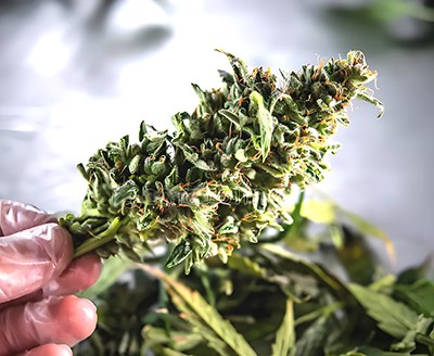 Tirqim Imxarrab vs Tirqim Niexef: Kif Agħżel l-Aħjar Metodu?